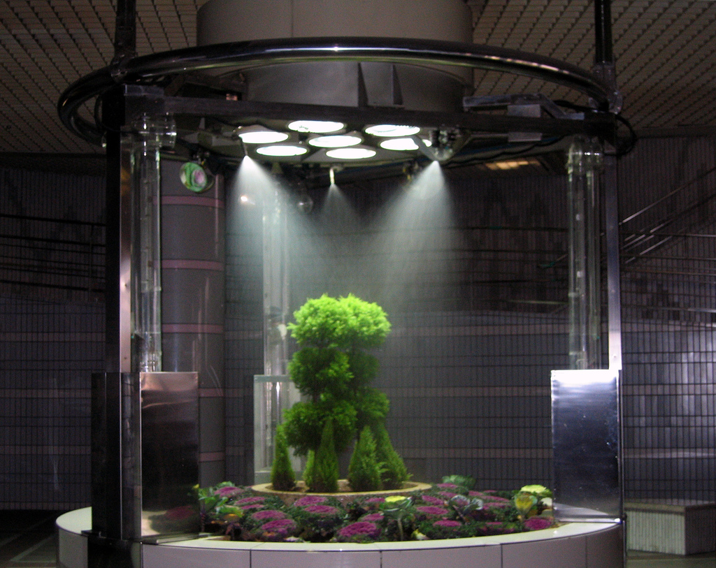 Subway Underground Garden
